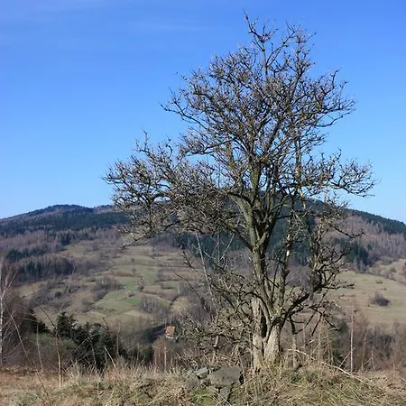 Rum i privatbostad Domek Goralski Hyrb Stryszawa